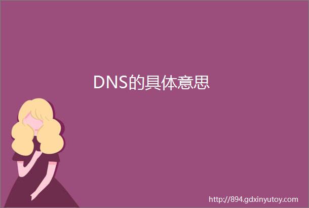 DNS的具体意思