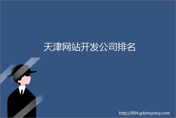 天津网站开发公司排名