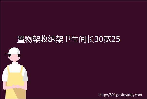 置物架收纳架卫生间长30宽25