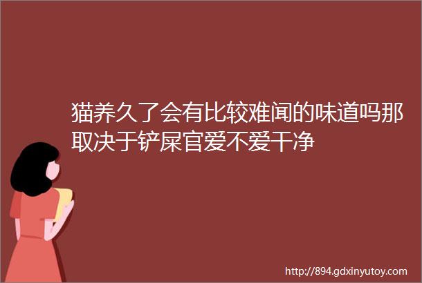 猫养久了会有比较难闻的味道吗那取决于铲屎官爱不爱干净