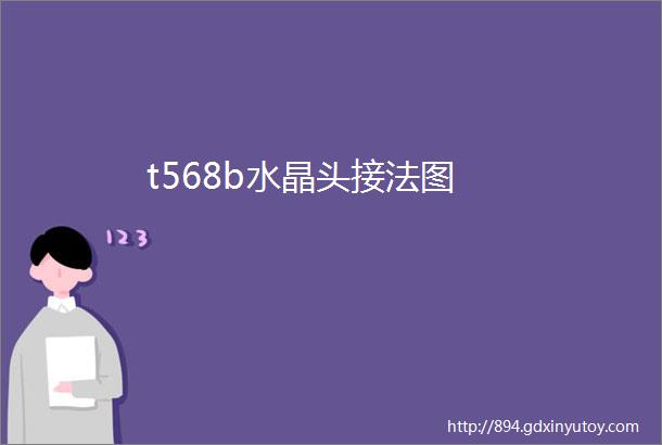 t568b水晶头接法图