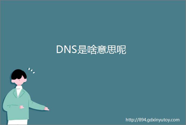 DNS是啥意思呢